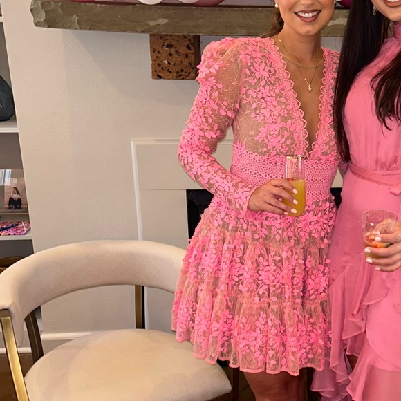 Bronx and Banco - Megan Dress in Pink (size Small) - Picture 4 of 4